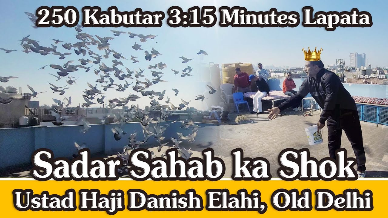 Sadar Sahab Ustad Haji Danish Elahi K 250 Kabutar Ka Shok,  25 January, 2025, Old Delhi