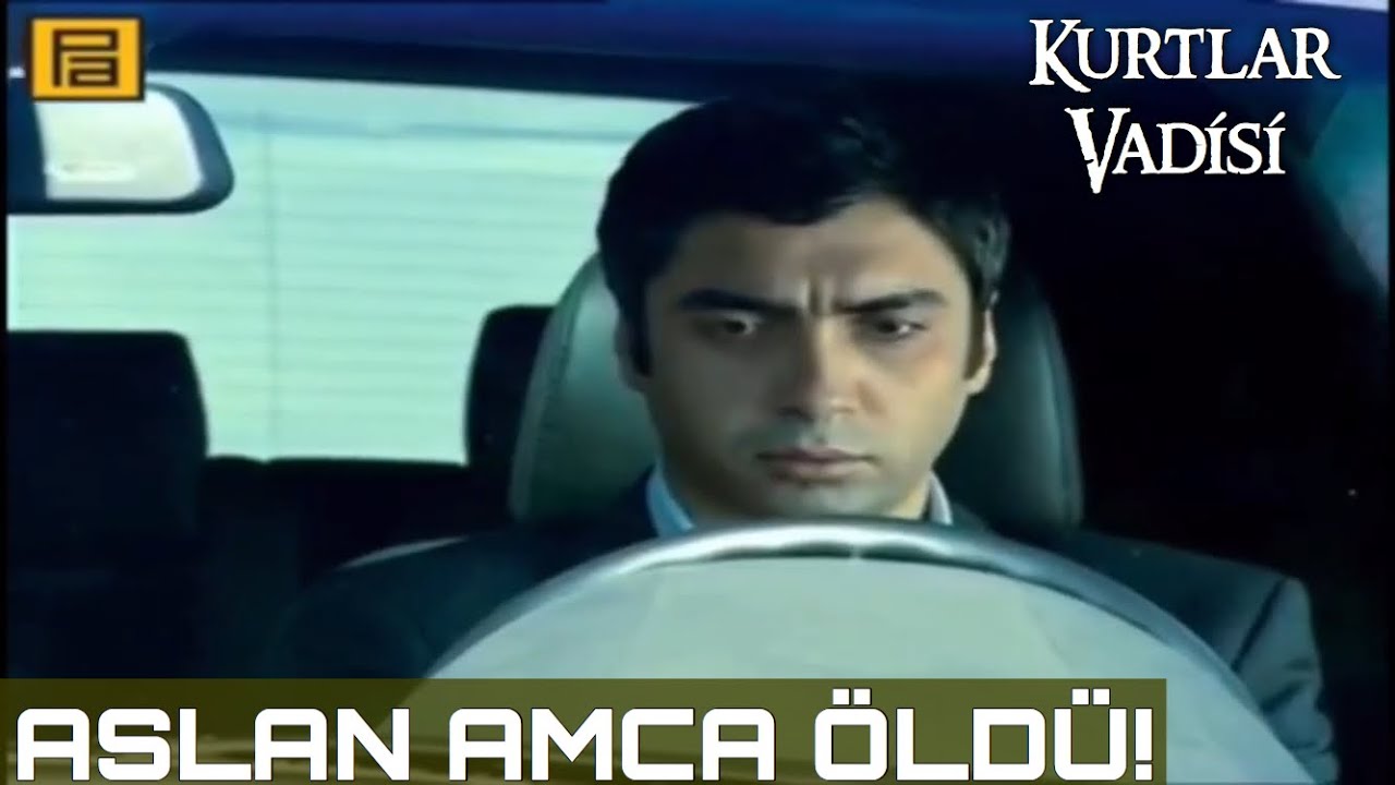 Aslan Amca &Ouml;ld&uuml;!