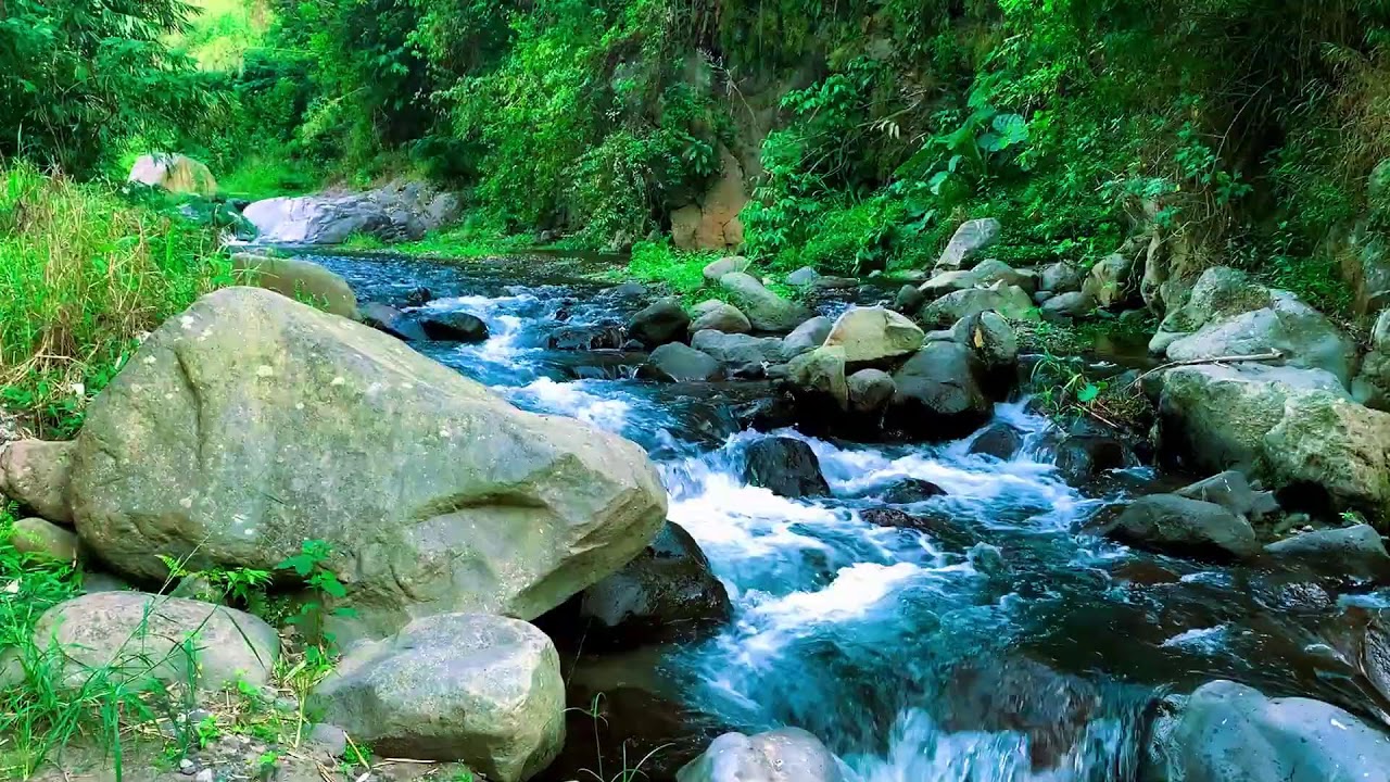 Deep Green Stream Flow to help Reading, Deep Relaxation & Restful Sleep