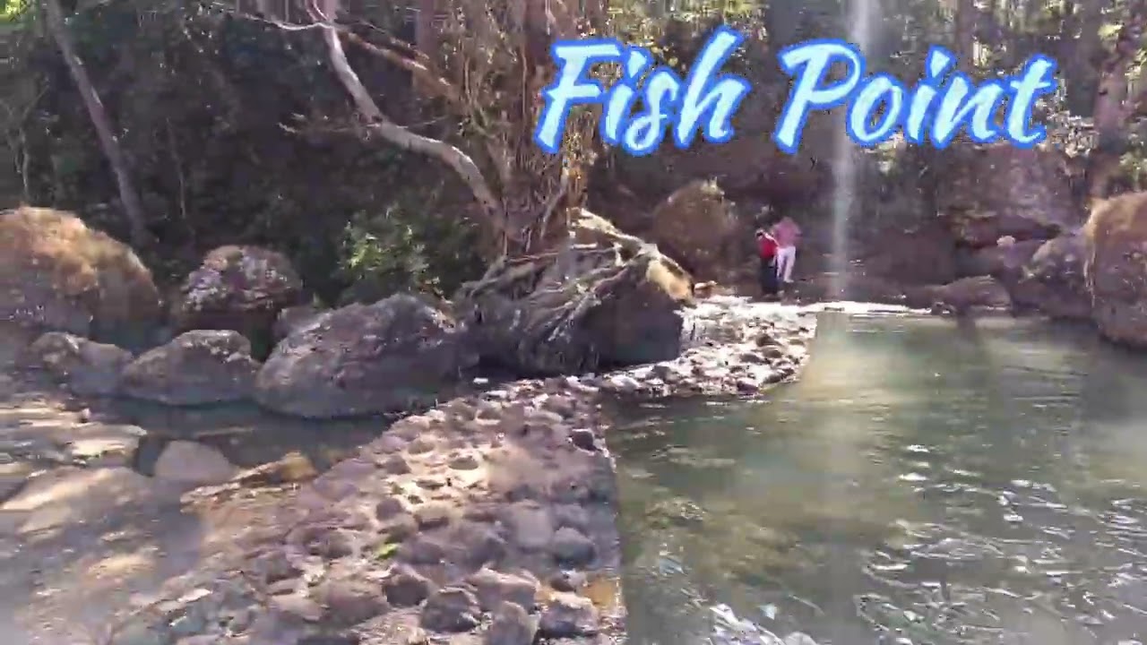 Fish Point, Mainpat 