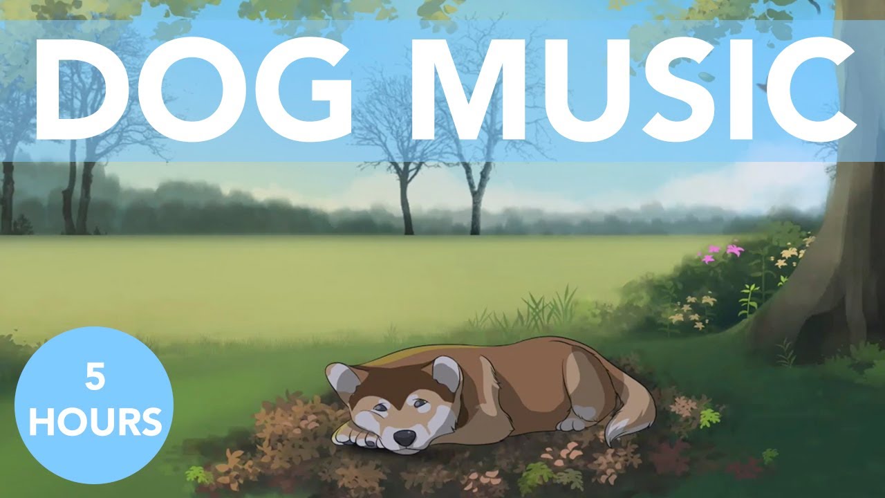 5 HOURS of Beautiful ASMR Sleep Music for Dogs! Reduce Anxiety!