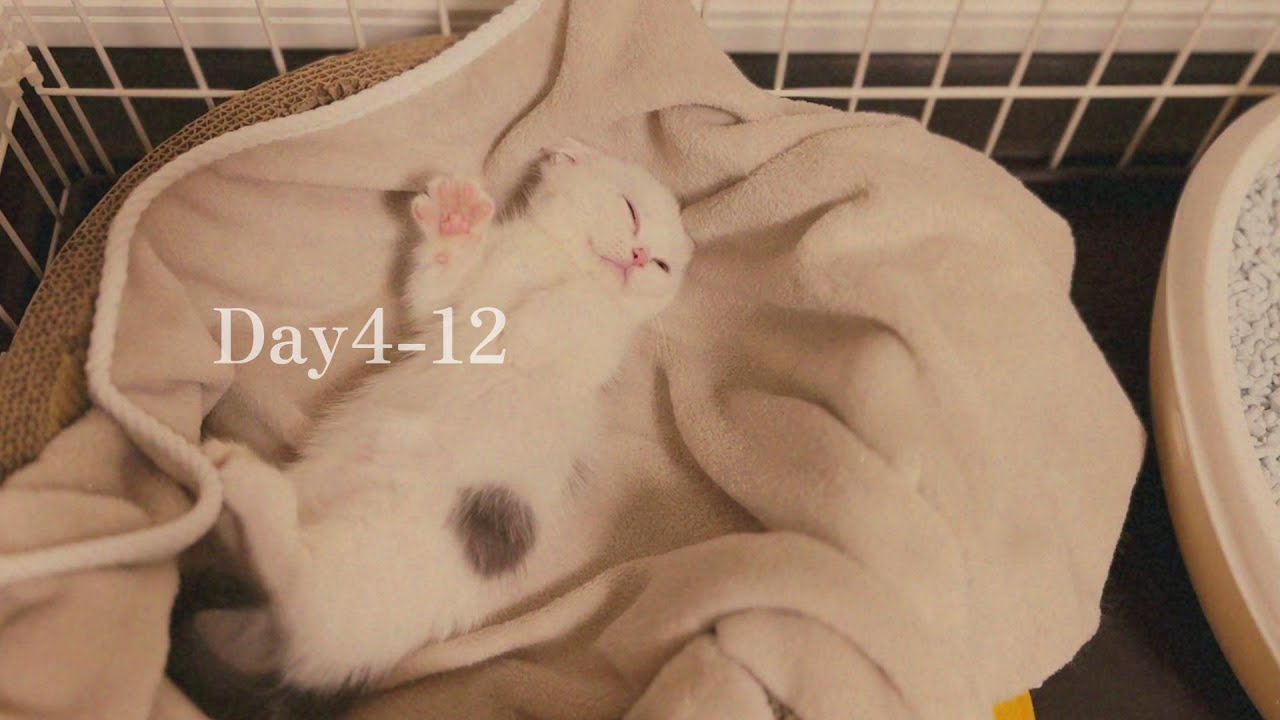 Day4-12