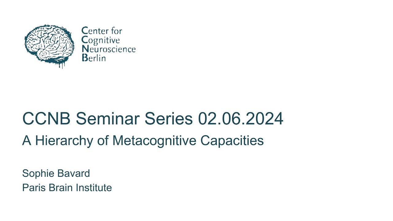 Sophie Bavard - A Hierarchy of Metacognitive Capacities