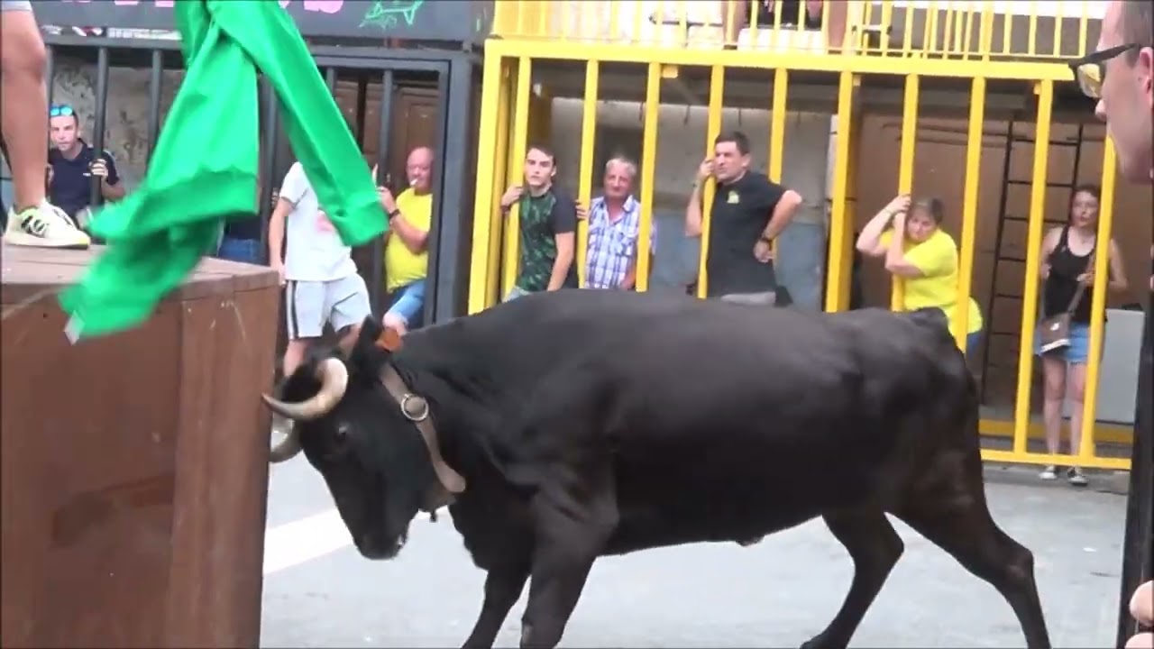 LA PUEBLA DE VALVERDE (TERUEL) VACAS DE LOS CHATOS  - 12 AGOSTO 2022 -