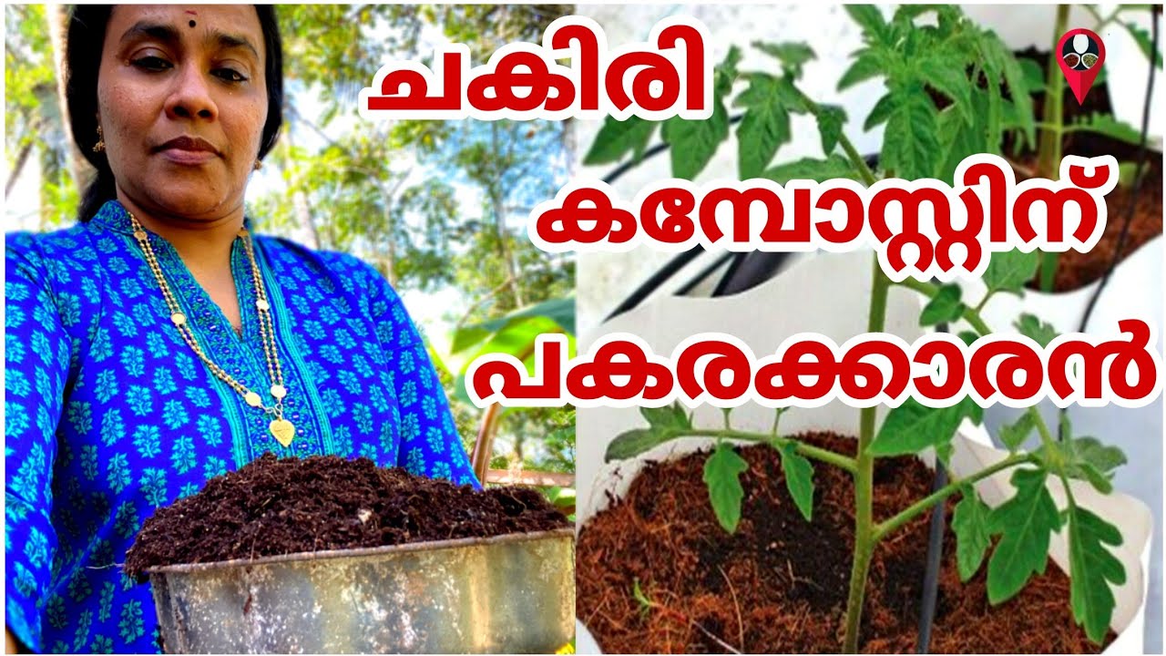 ചകിരി കമ്പോസ്റ്റിന് പകരക്കാരൻ  | Prs kitchen krishi compost | Chakiri choru making in malayalam