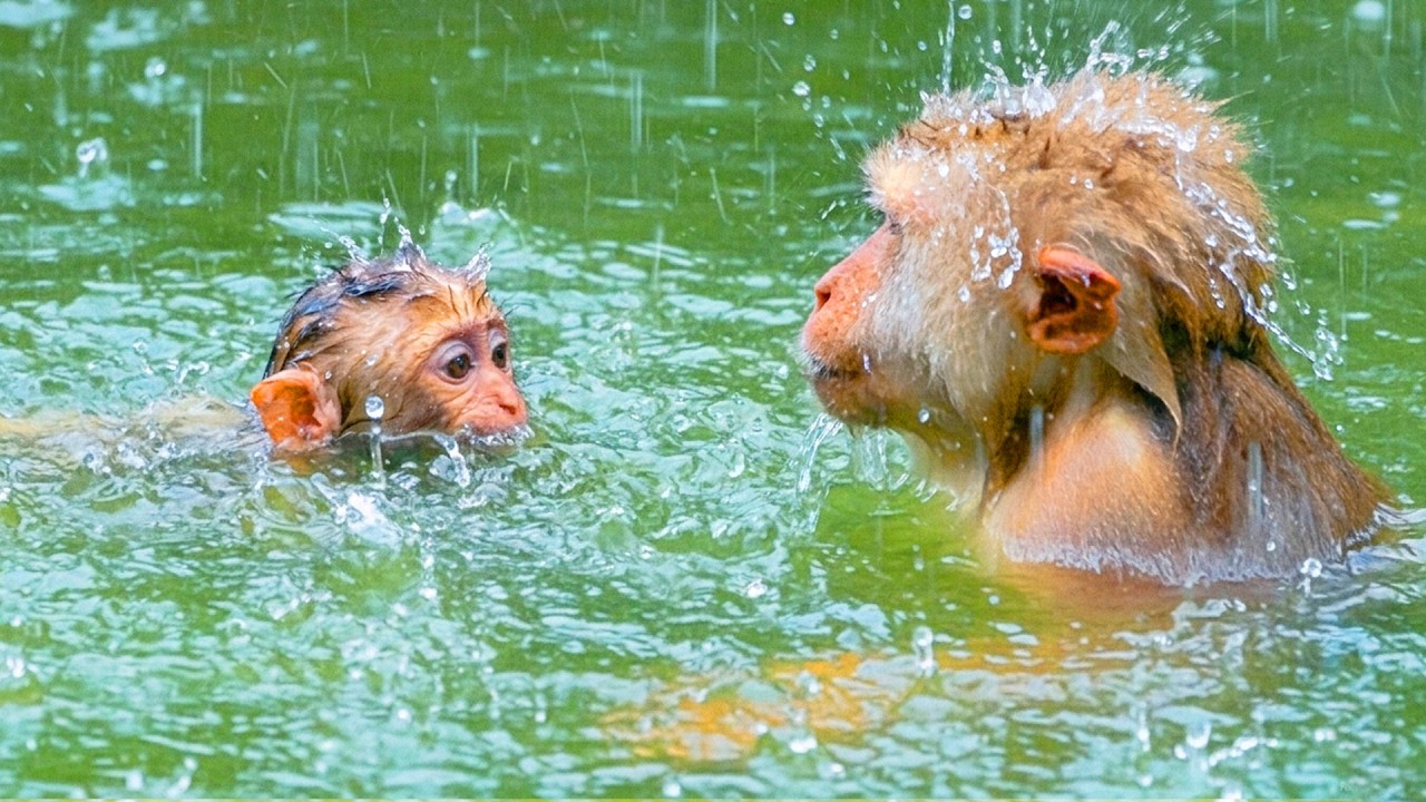 ​Sweet newborn Baby teaching to swims with his mother in big pool 