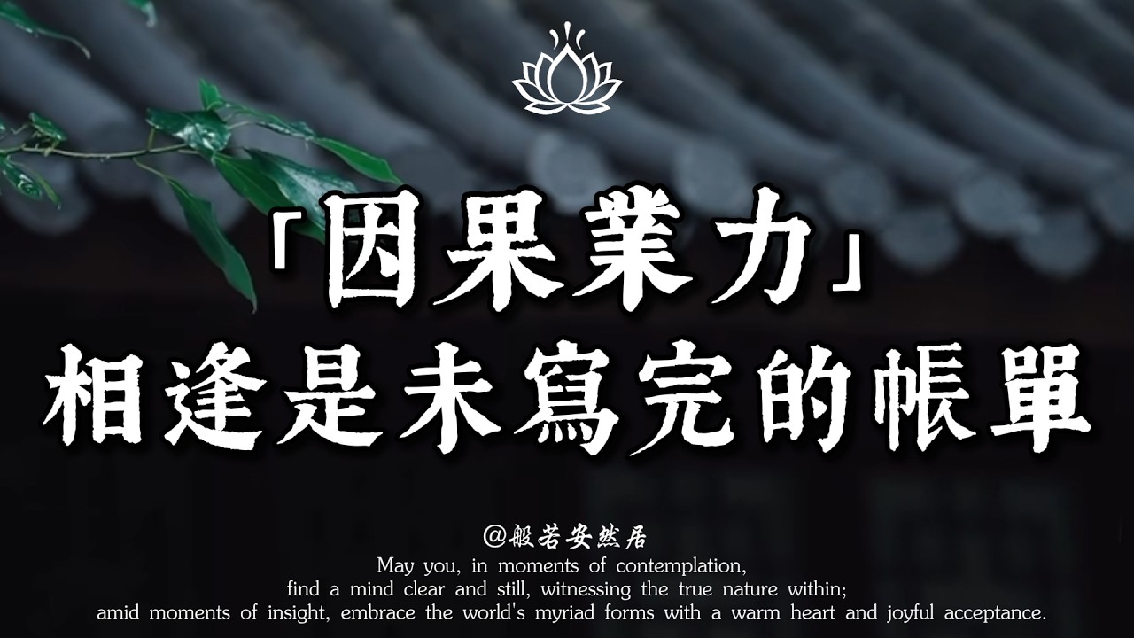 為什麼傷害你的人偏偏是他？佛說：相逢是未寫完的帳單。看透這場 “因果債”，餘生不再委屈。【般若安然居】#能量療愈 #情感 #修心 #心灵感悟 #佛學 #人生感悟 #禅意生活 #心靈暖流