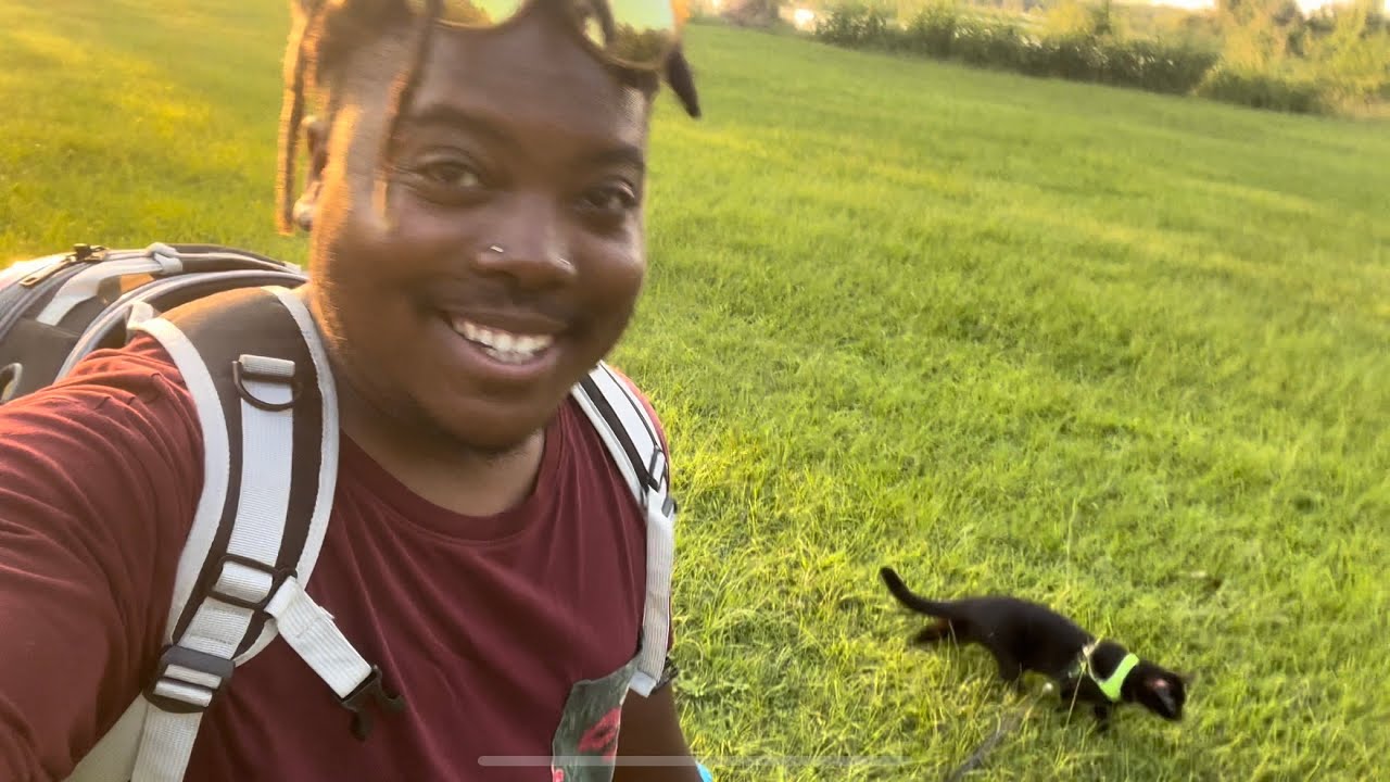 Van life with a cat (this was a rough day) Ep.2