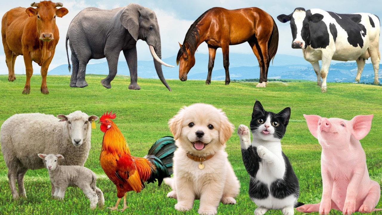🌿 Muôn Loài Rộn Ràng “Khúc Ca Hạnh Phúc” – Đồng Quê Bỗng Hóa Sân Khấu Vui Nhộn | FarmAnimals 🐶🐱🐓🦆