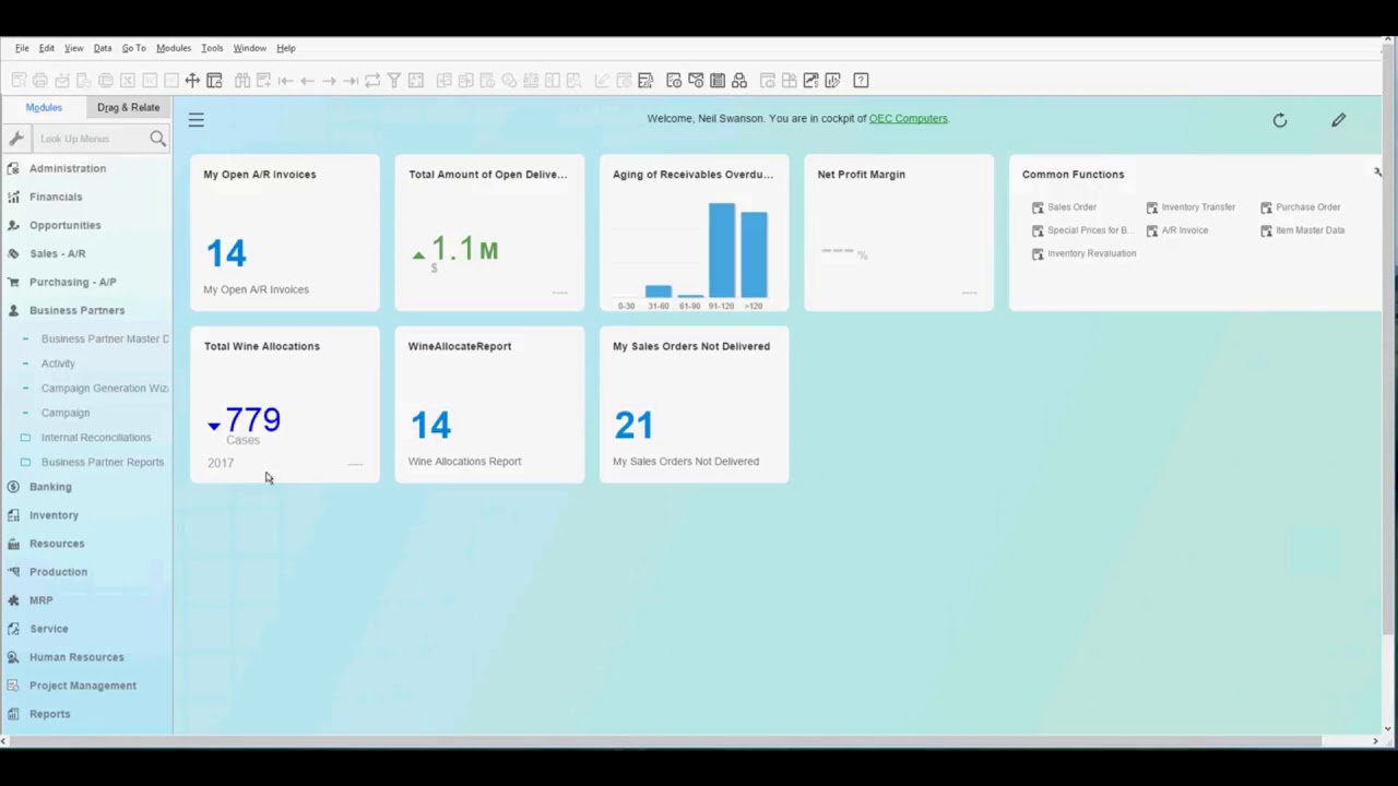 User Defined Fields Demo on SAP Business One