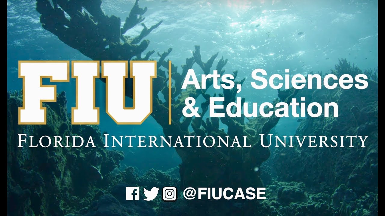 Get to Know FIU CASE