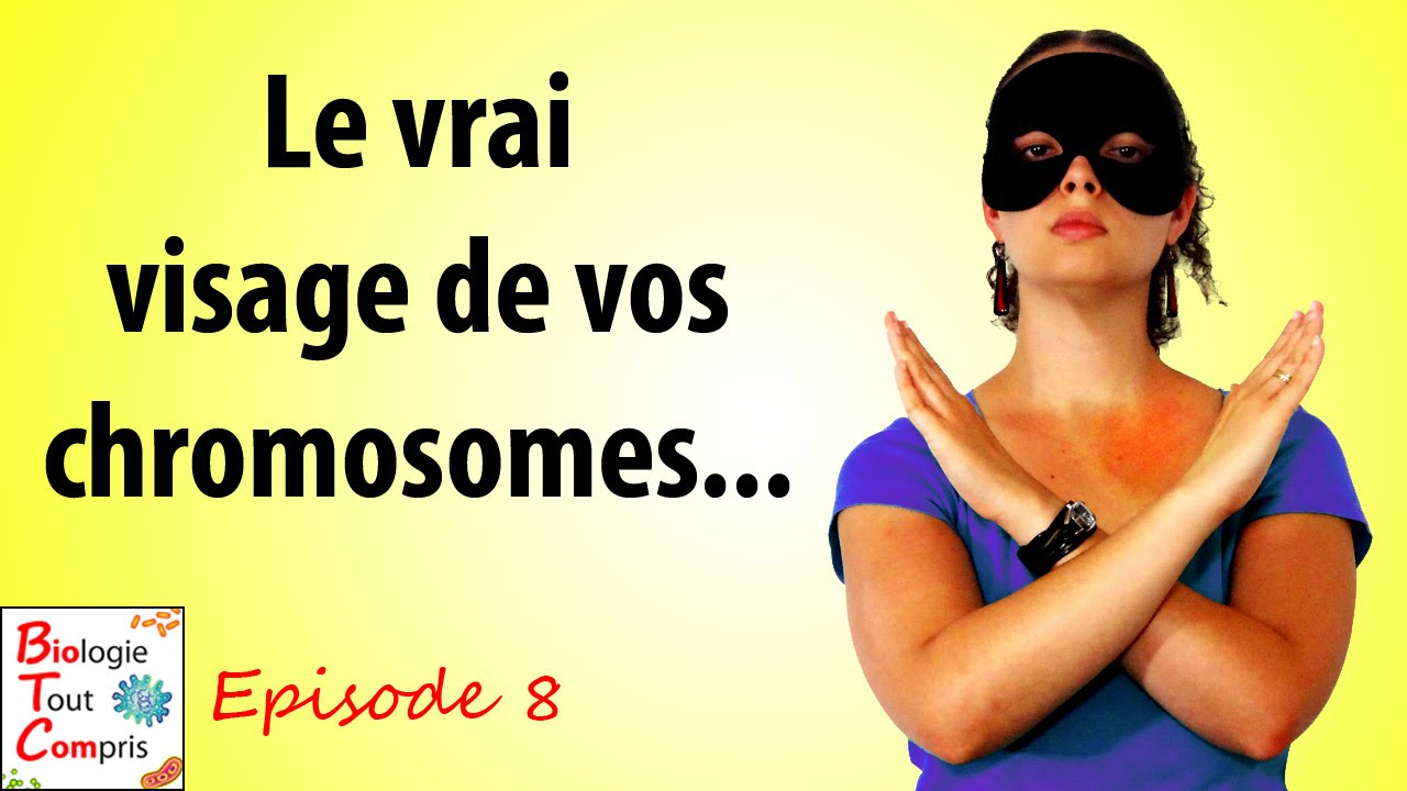 Le vrai visage de vos chromosomes... - BioTCom 08