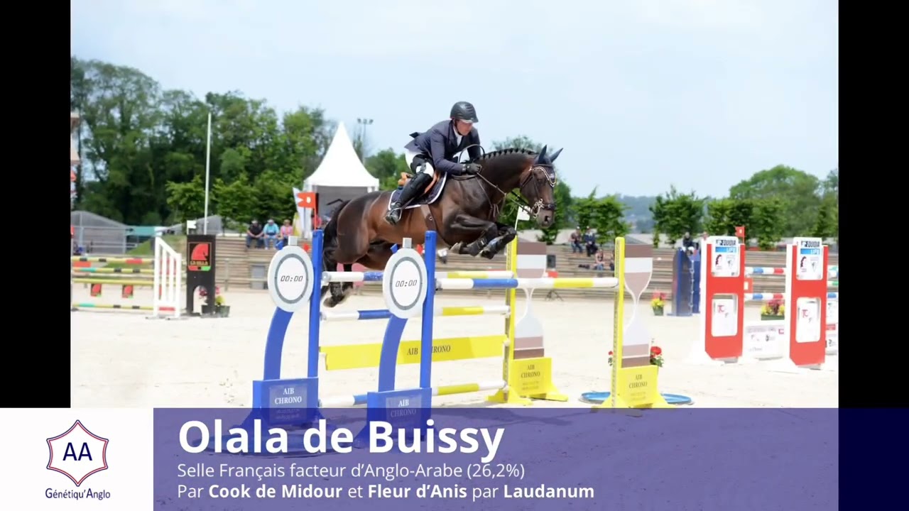 Olala de Buissy