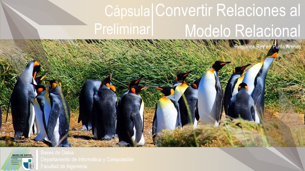 Bases de Datos: Convertir Relaciones al Modelo Relacional
