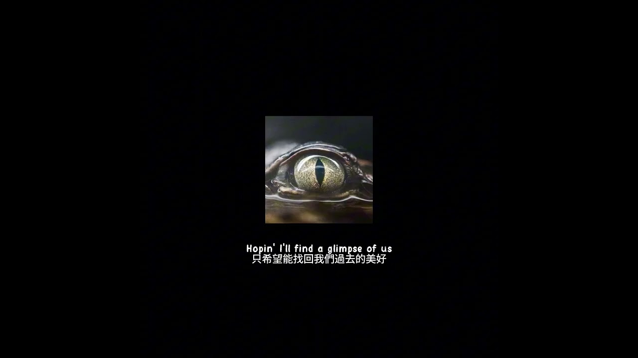 Joji - Glimpse of Us 中英字幕