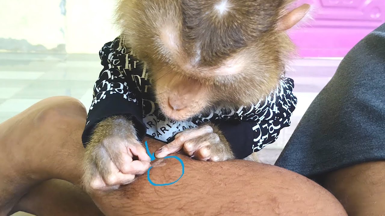 Dr. LYLY Created A Secret Credit Grooming Skill Leg Dead Cell Suddenly Felt Comfortable