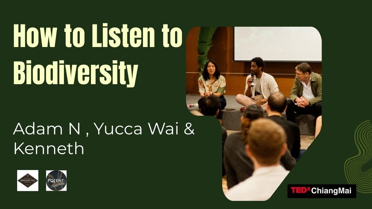 The Magic of Experiencing Biodiversity through Sound @ Emerging Earth @CreativeChiangMaiCity