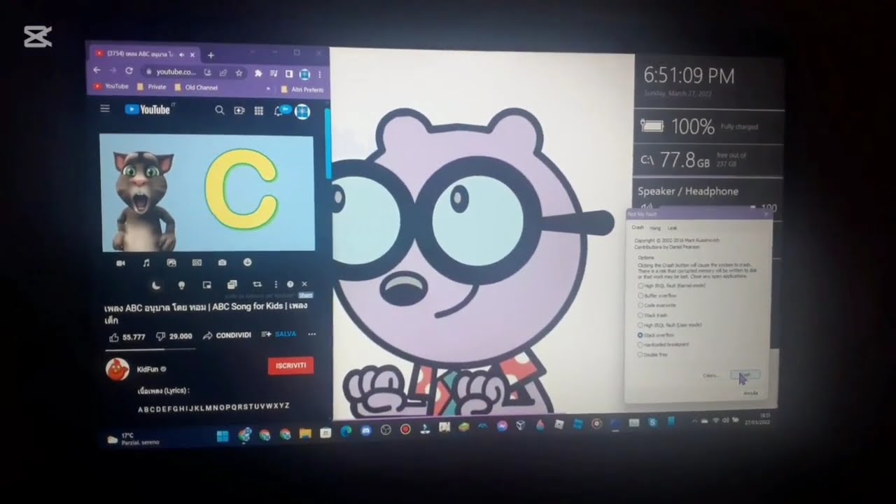 BSOD Compilation (full video) Part 2