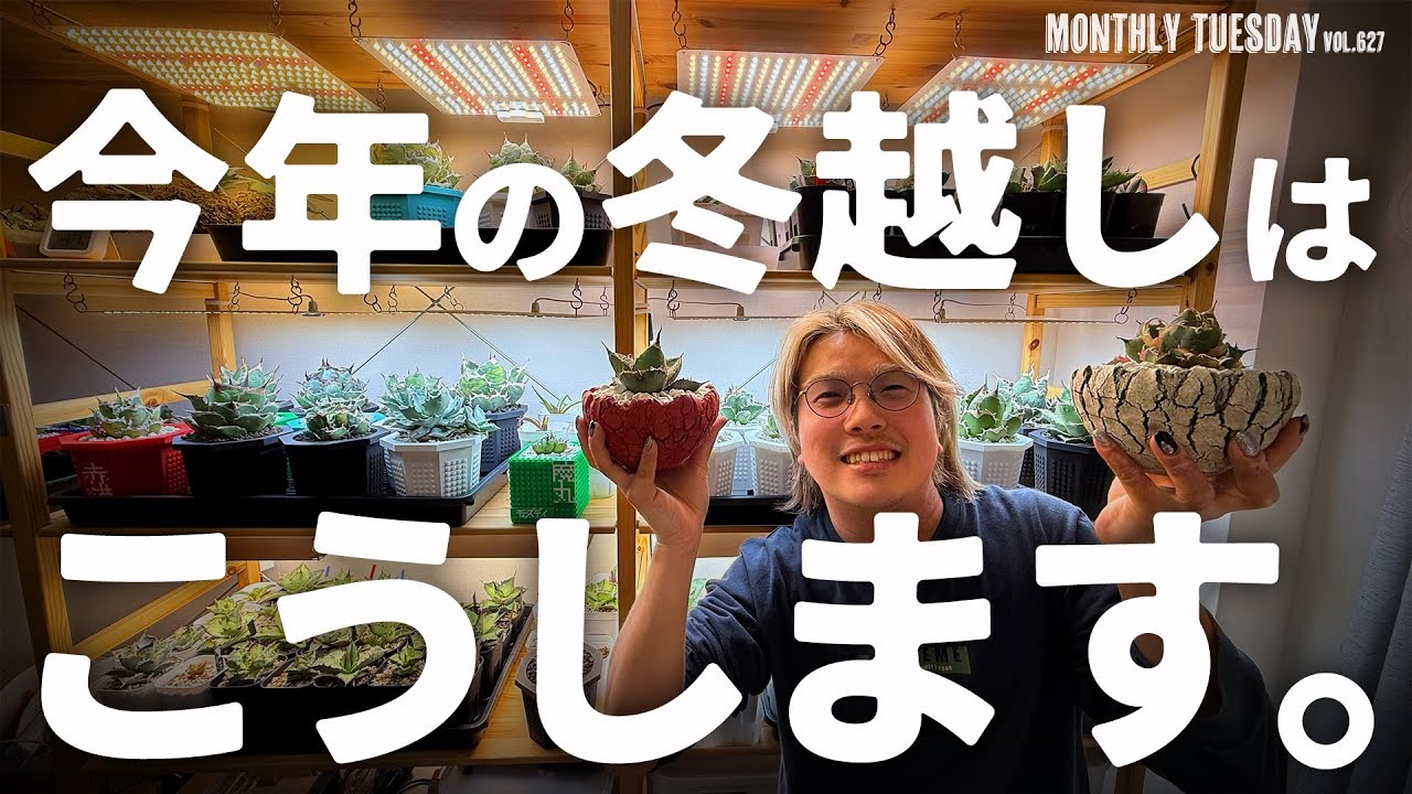 【育成環境】植物部屋大公開！2025年のアガベ、塊根、サボテン、ユーフォルビアの冬越し！