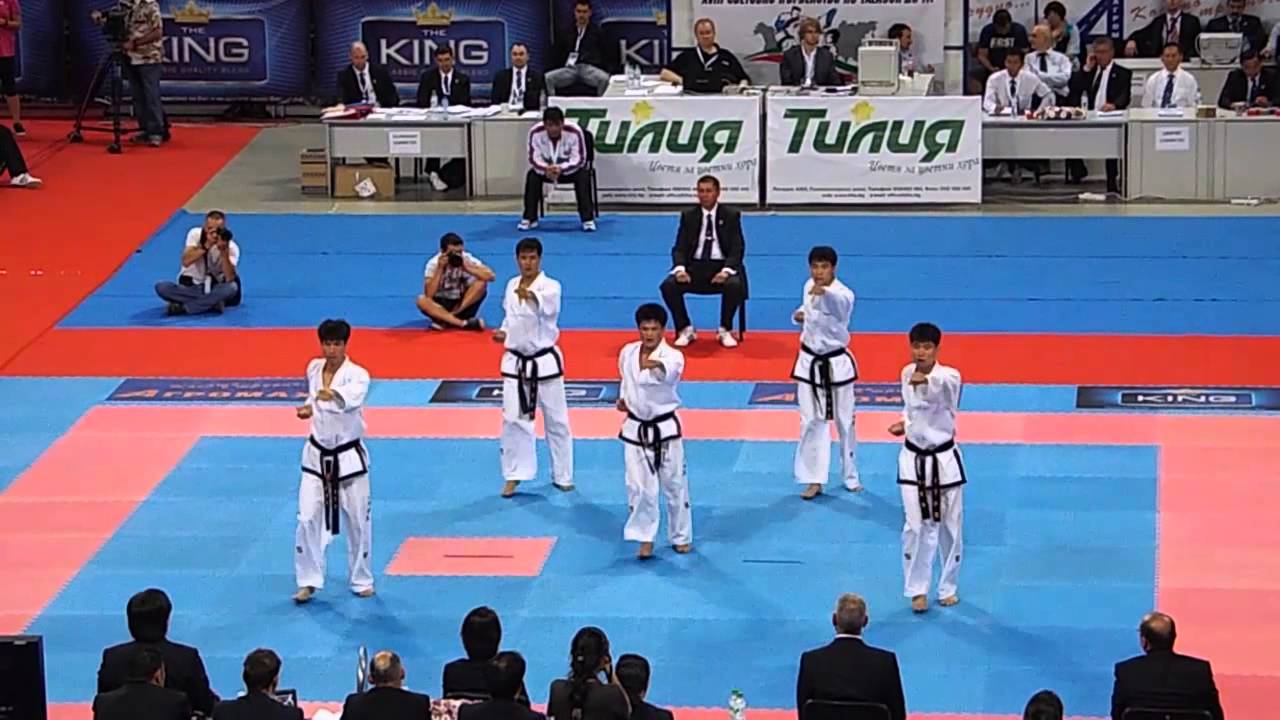 DPR Korea v Japan Male Team Patterns Final. 2013 ITF World Championships