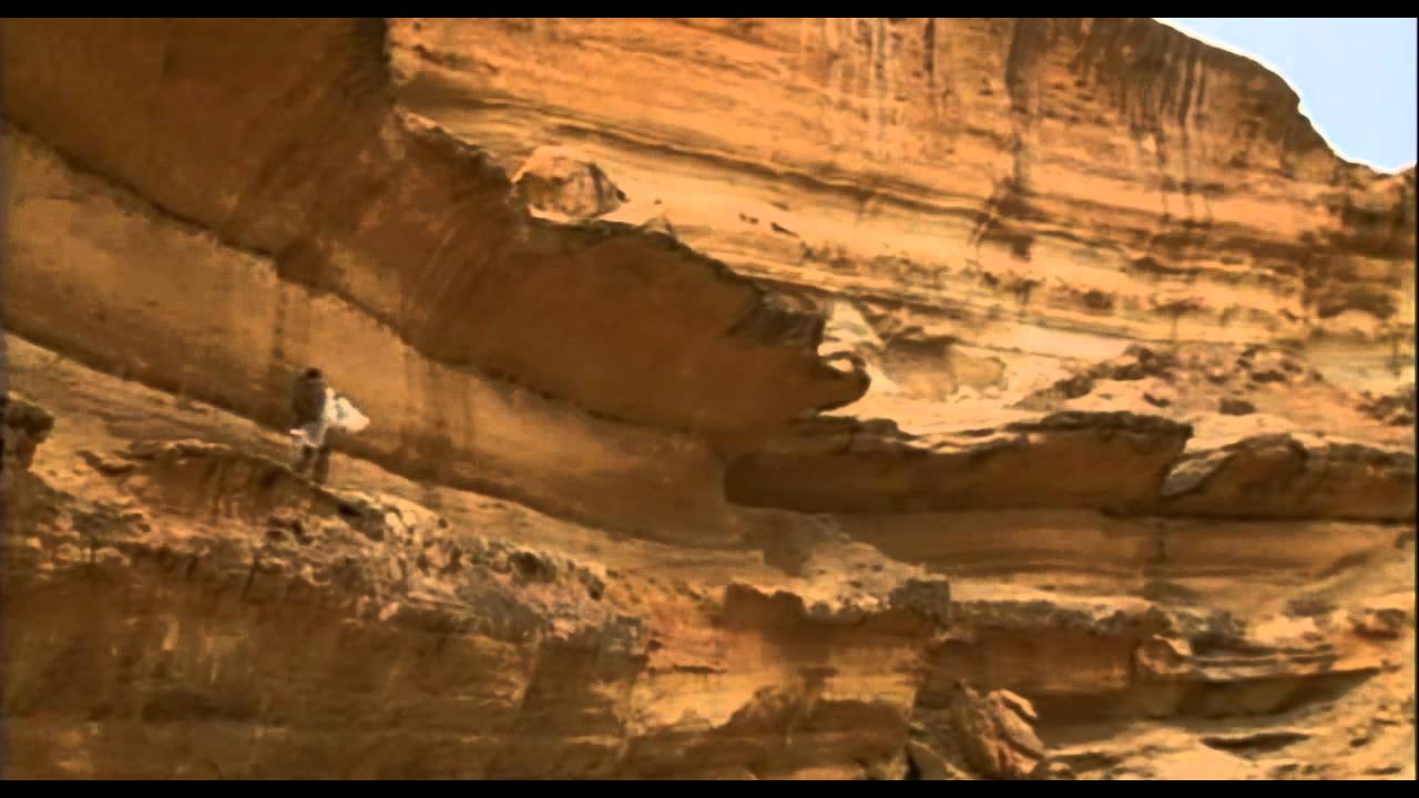 My most favorite scene from The English Patient