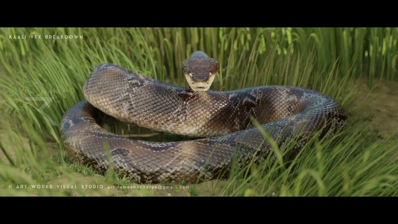 CGI VFX BREAKDOWN : KAALI / KASI  R - ART WORKS VISUAL STUDIO
