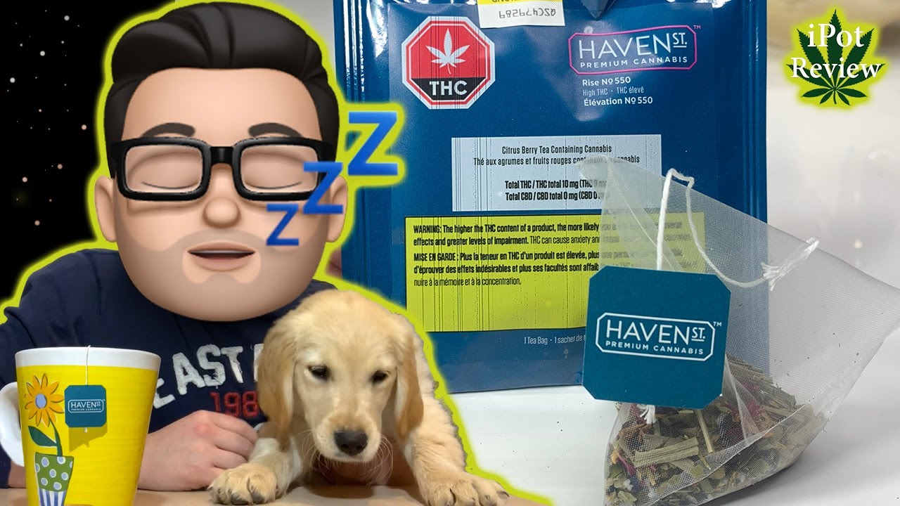 Haven St. No550 Rise Tea Reviewed & WE GOT A PUPPY!!!
