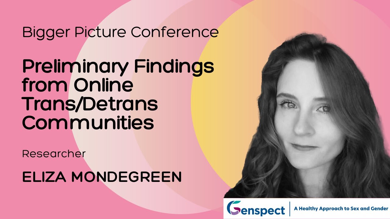 The Bigger Picture Conference: Preliminary Findings from Online Trans/Detrans Communities