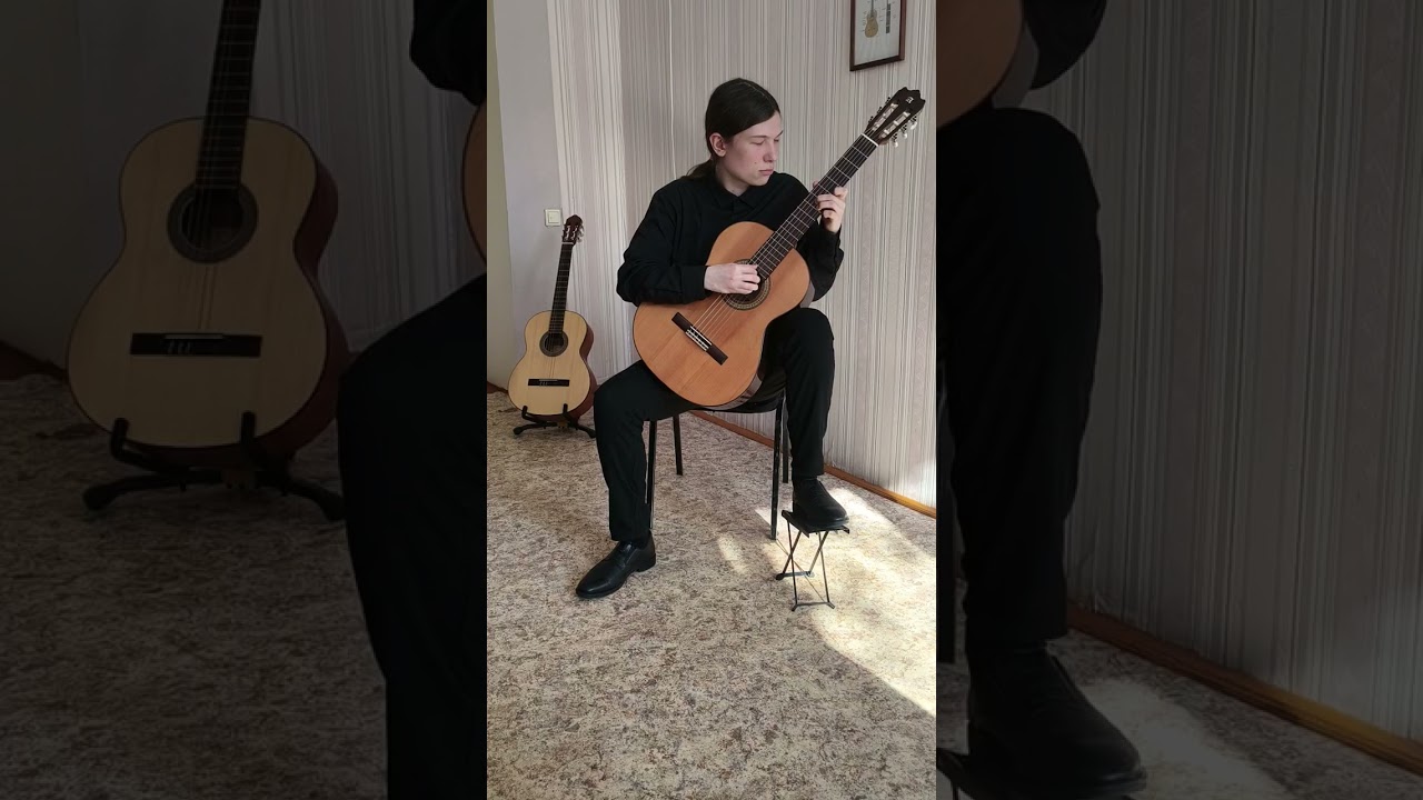 Ролан Диенс ФАНТАЗИЯ 