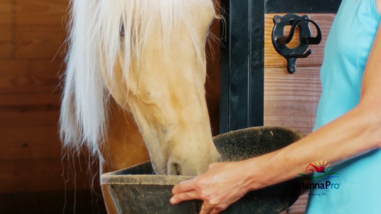 Sho.Glo Equine Supplement!