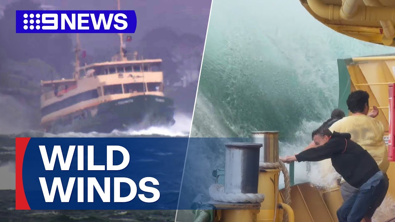 NSW east coast smashed by intense winds | 9 News Australia