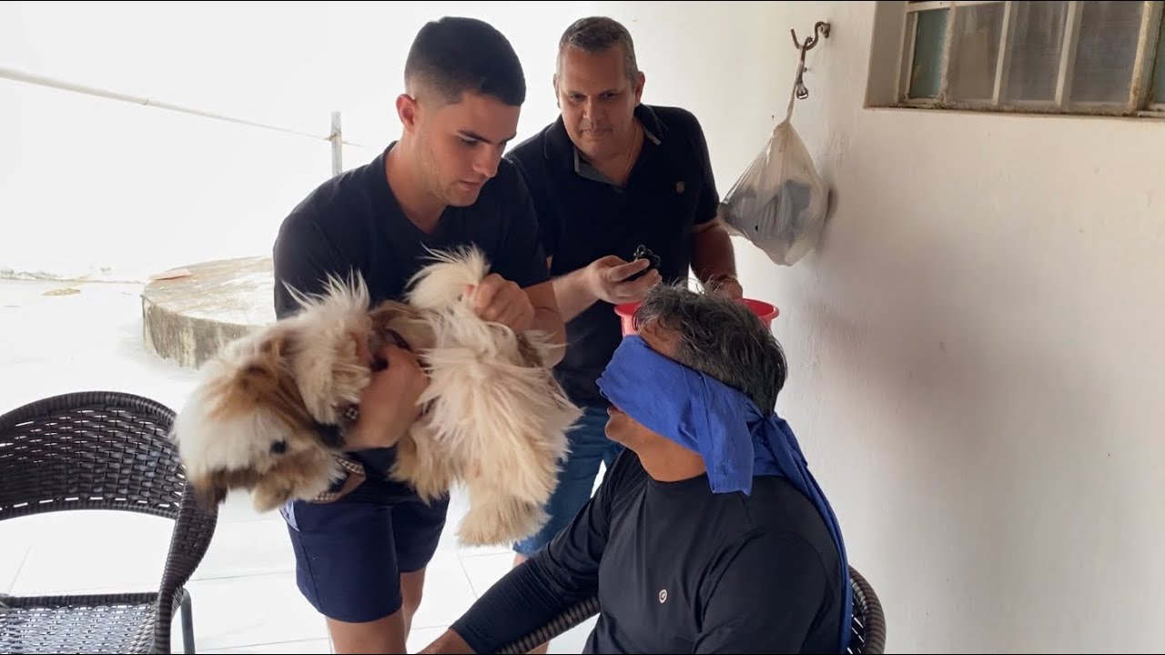 O REI DAS SERPENTES NÃO CONHECEU O CHEIRO DO CACHORRO