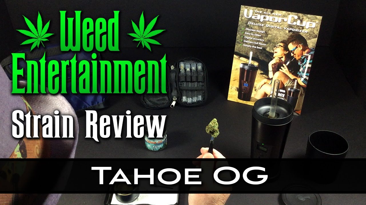 Tahoe OG - Indica - by 3C Farms - Strain Review - from HHC dispensary, Los Angeles, Ca