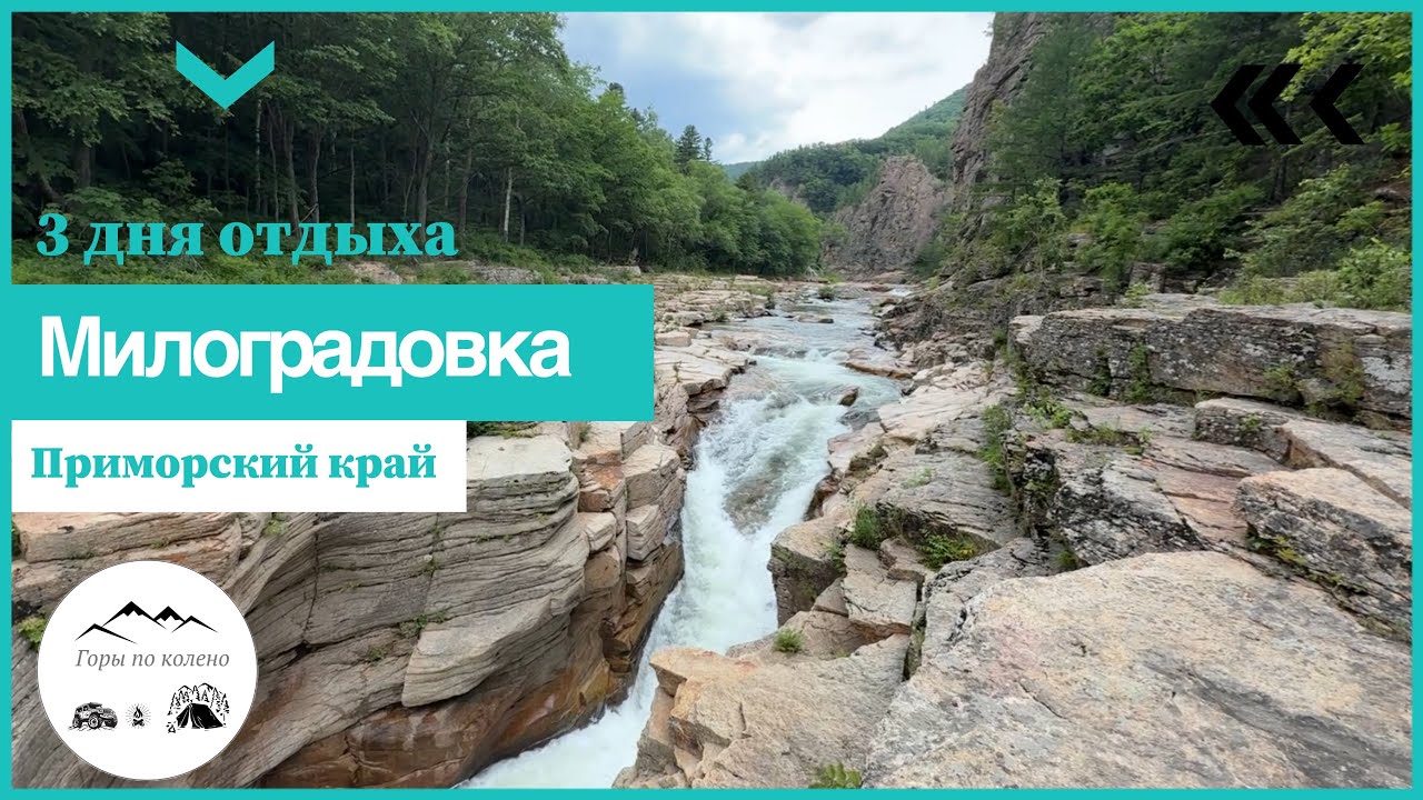 Милоградовка 27.06.25. Три дня отдыха