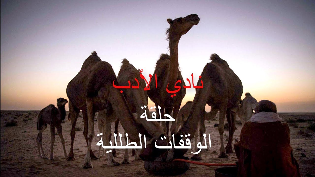 نادي الادب الوقفات الطللية تقديم حمدي ميارة