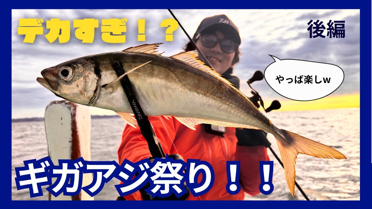 「後編」東京湾の港近くで40cm越えのアジ釣れる！？