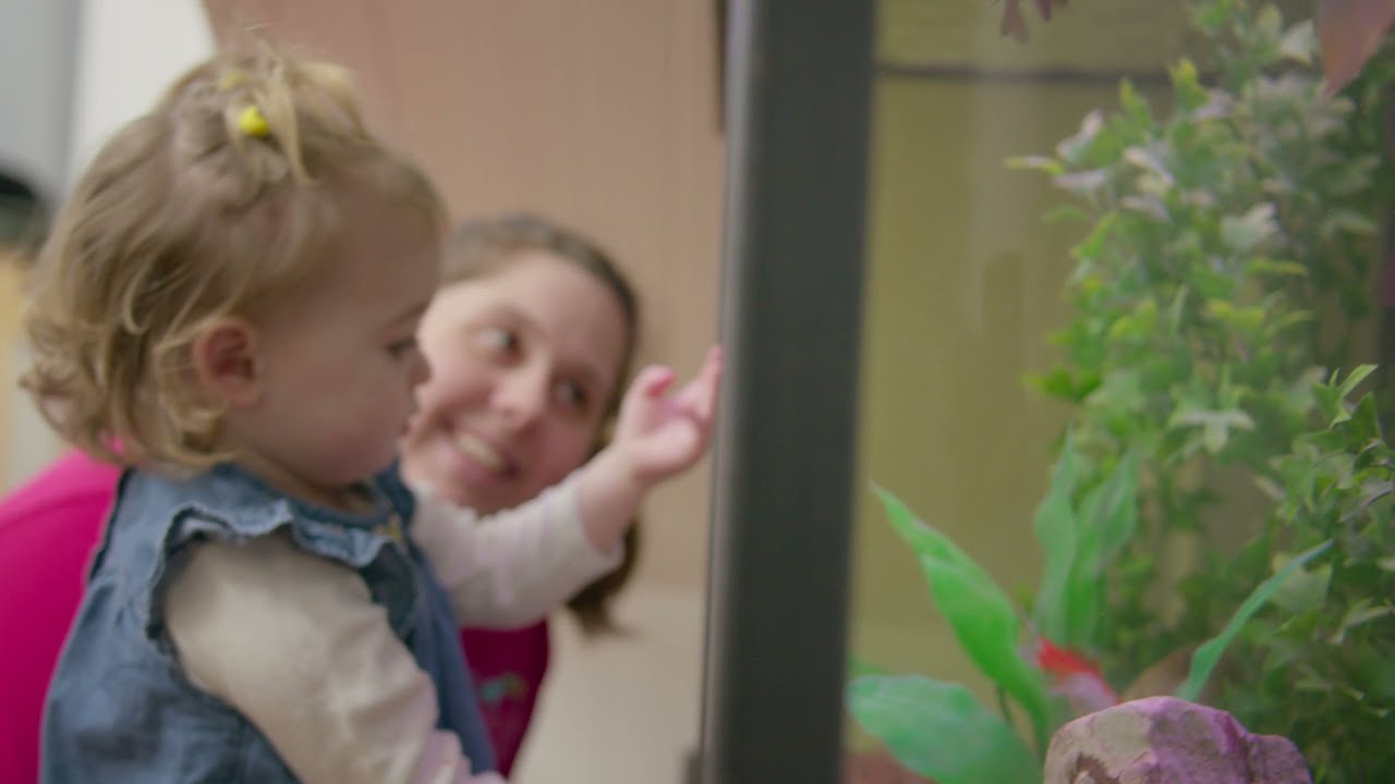 Astley Nature Kindergarten -  part of Thrive Childcare and Education
