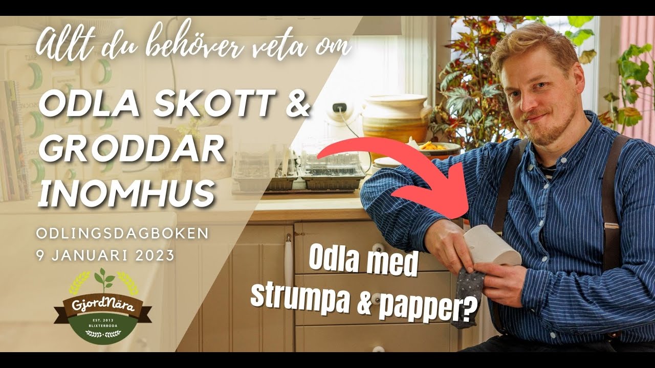 Så odlar vi inomhus på vintern -  Odlingsdagboken 9 Januari 2023