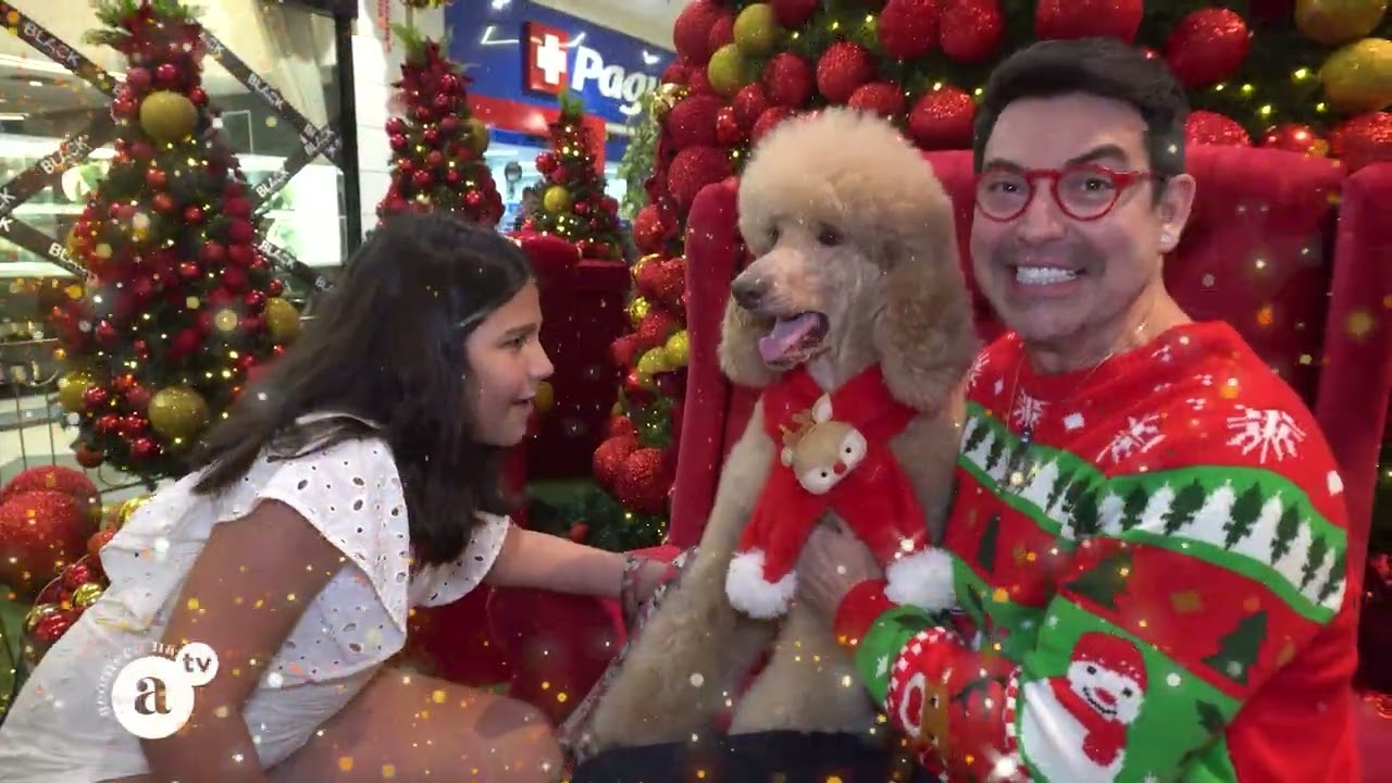 Acontece na TV - 21/12