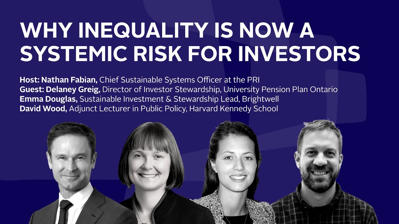 Economic Inequality: Impacts, Drivers, and Investor Responses