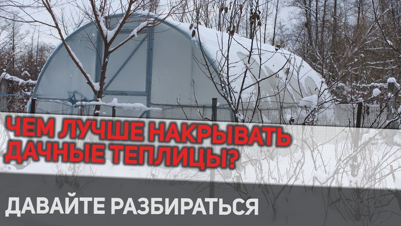 Дачные теплицы: так чем же лучше всего накрывать пленка или поликарбонат?