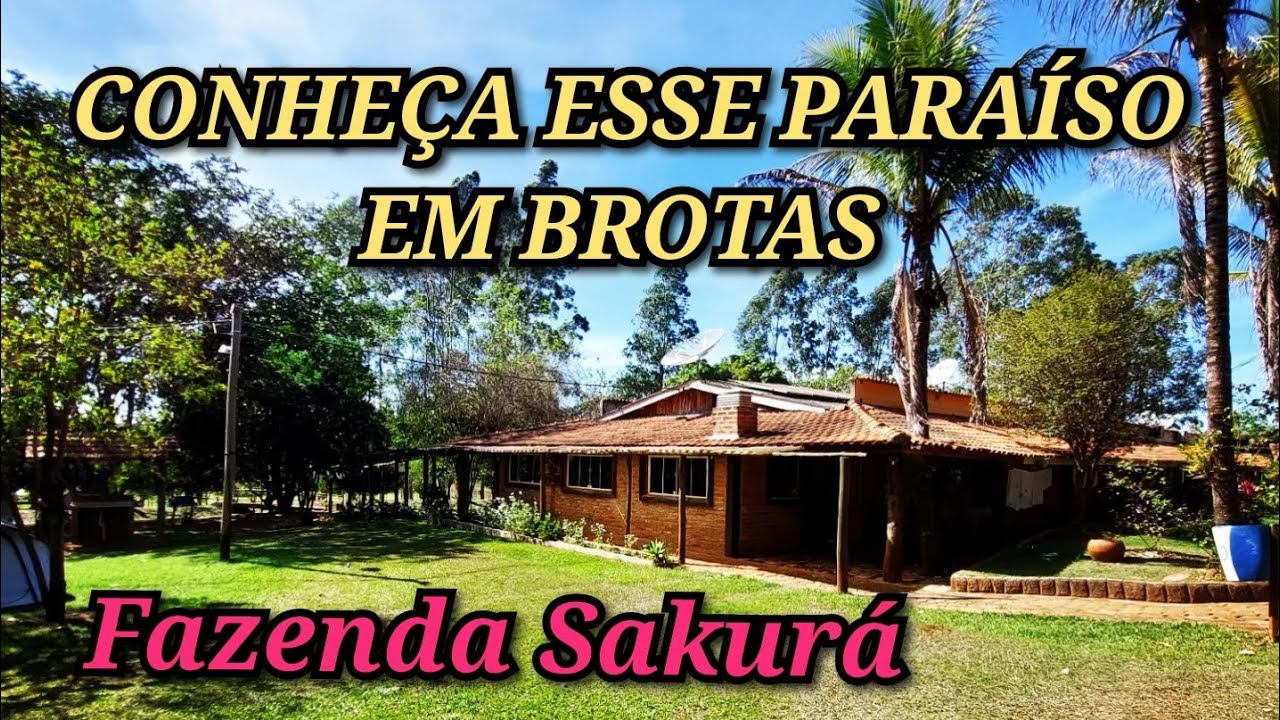 CAMPING FAZENDA SAKURÁ- BROTAS _ Tour completo desse paraíso!
