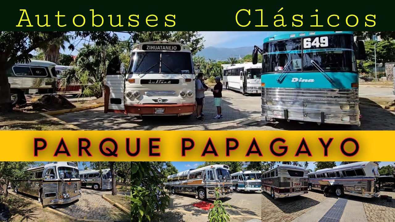 Autobuses Clásicos Perrisimos