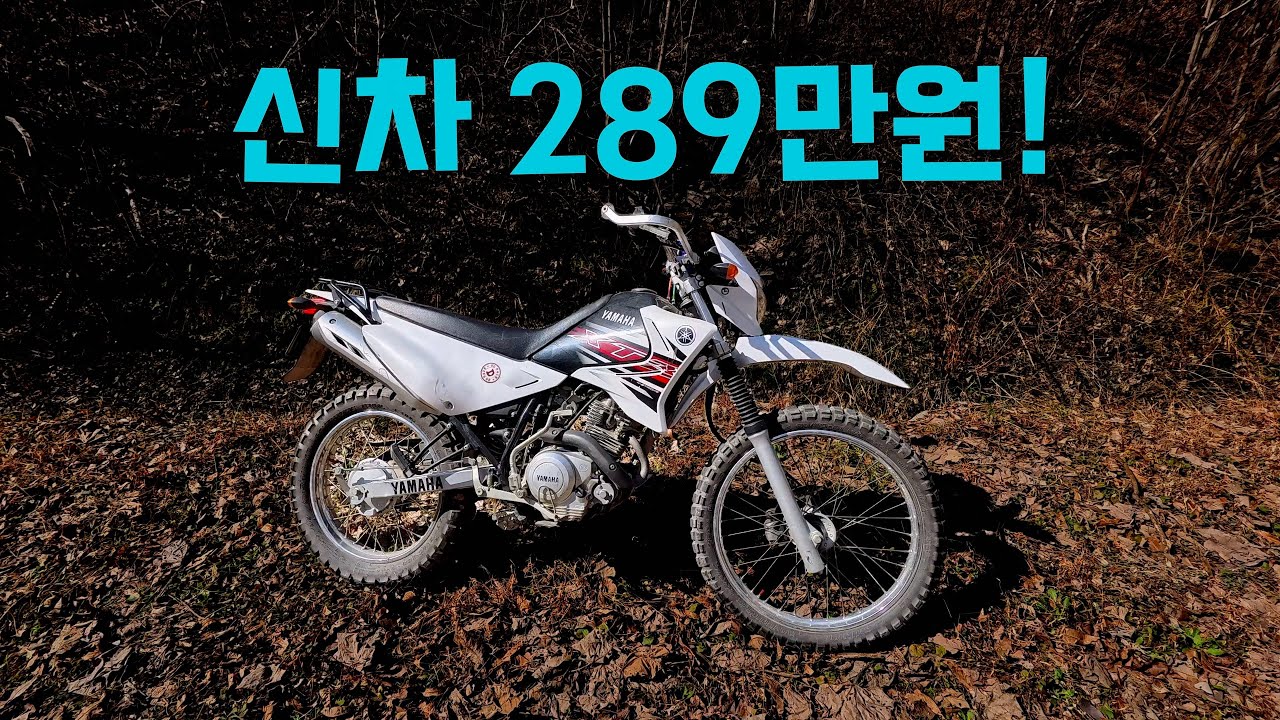 우리나라에서 가장 저렴한 듀얼바이크! 야마하 XTZ125