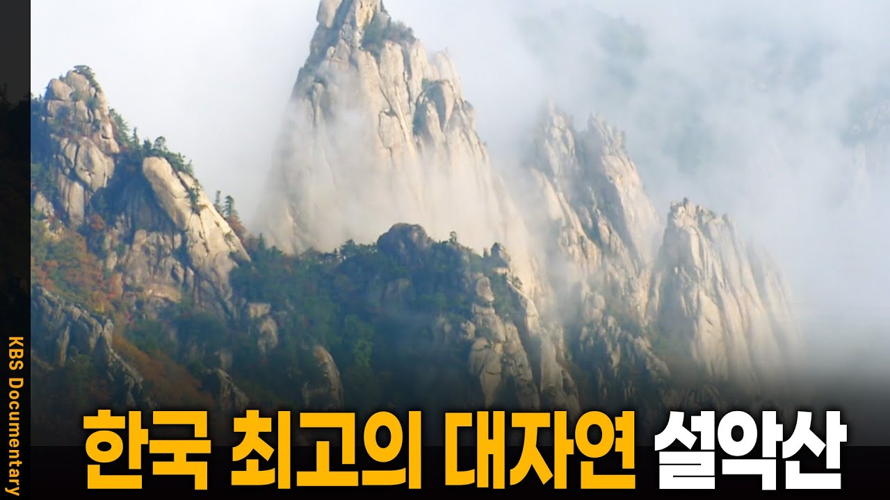 한국 최고의 명산 '설악산', 사람과 공존할 수 있을까.. | KBS 20111106 방송