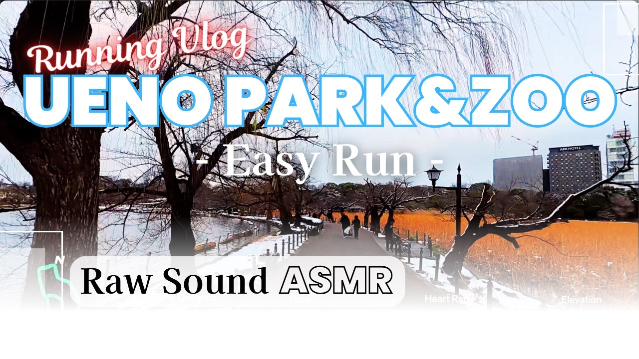 Easy Run - Ueno Park 20260208 [Raw Sound]