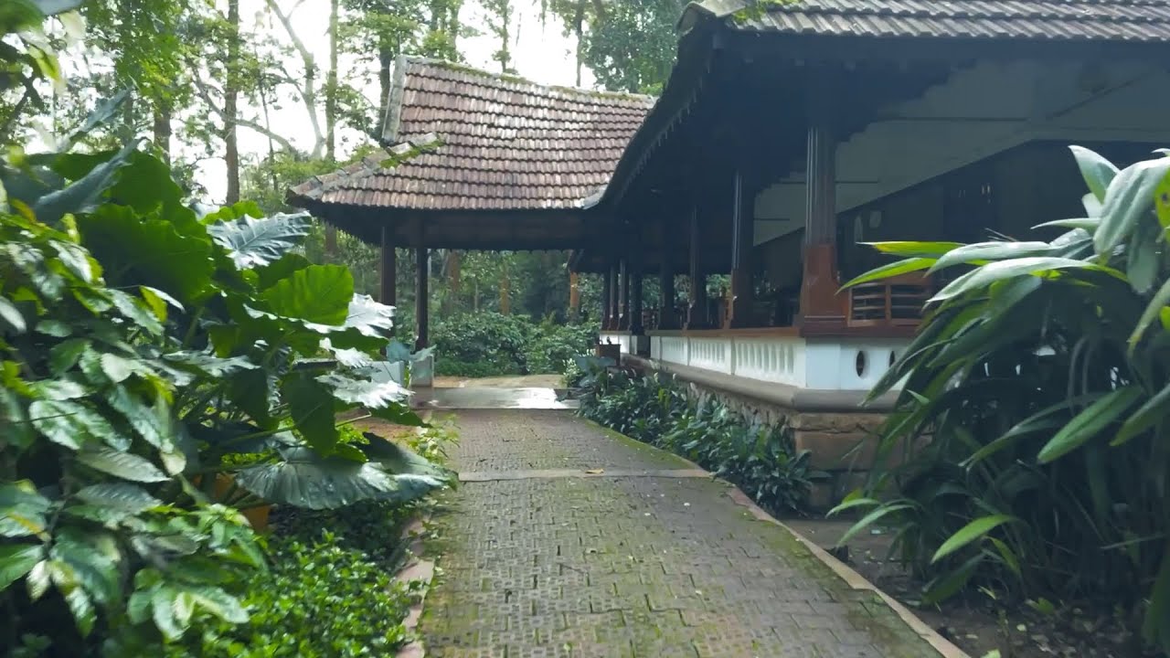 Plantain Leaf – Authentic Vegetarian Delights at Evolve Back, Coorg | Luxury Hotels