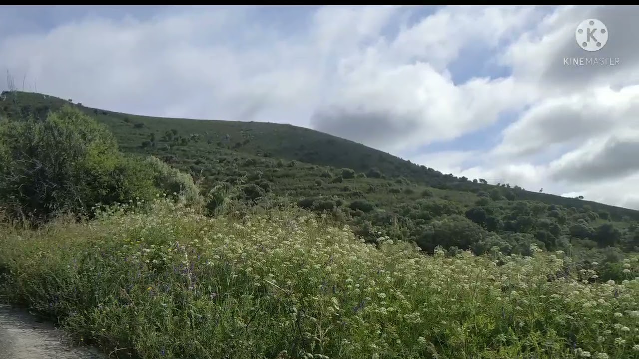 Paseo por la Sierra de Cañaveral (Cáceres - Extremadura)