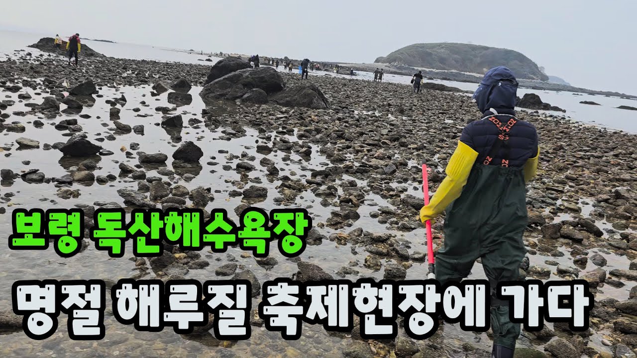 명절 황금물때 해루질 축제현장에 가다 ~!! 보령 독산해수욕장