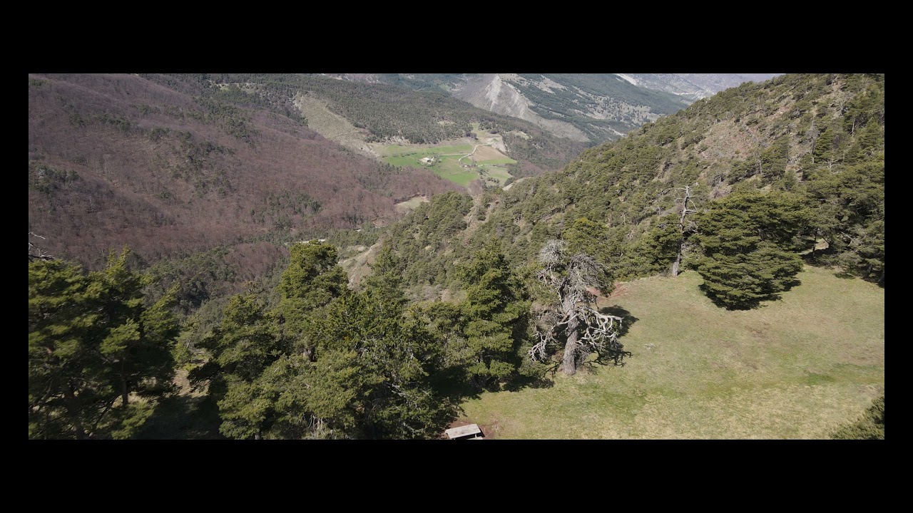 ESPARON LES MONGES